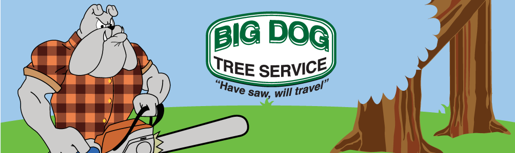 Logo and Advertising